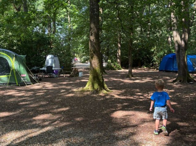 Natuurcamping Zuid Engeland 6