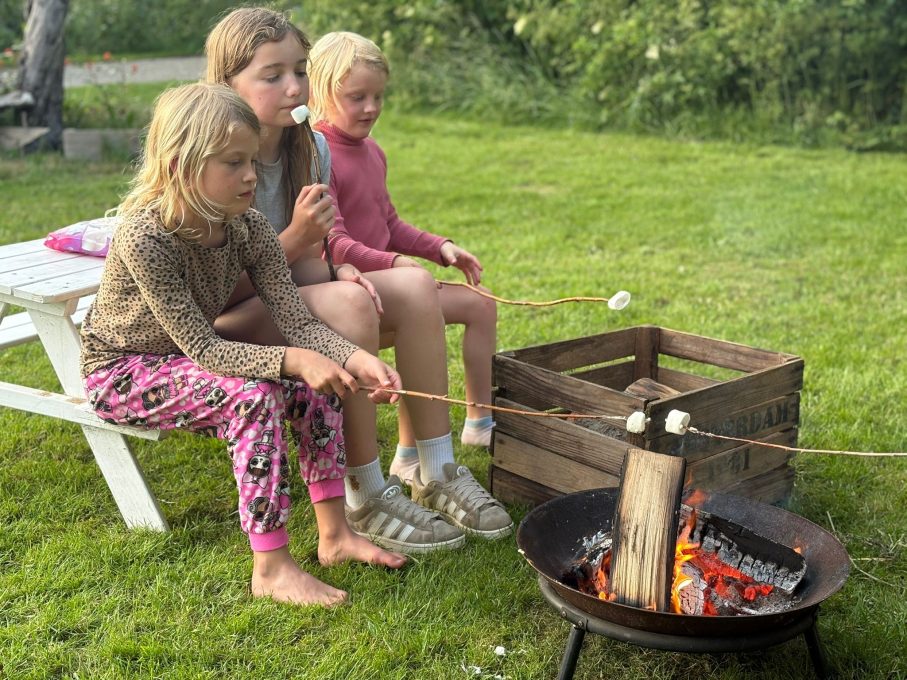 Camping Stadsboerderij De Sibbe 9 c25c23ab 33c0 407d 82d0 bf45b2cd582c 907x680