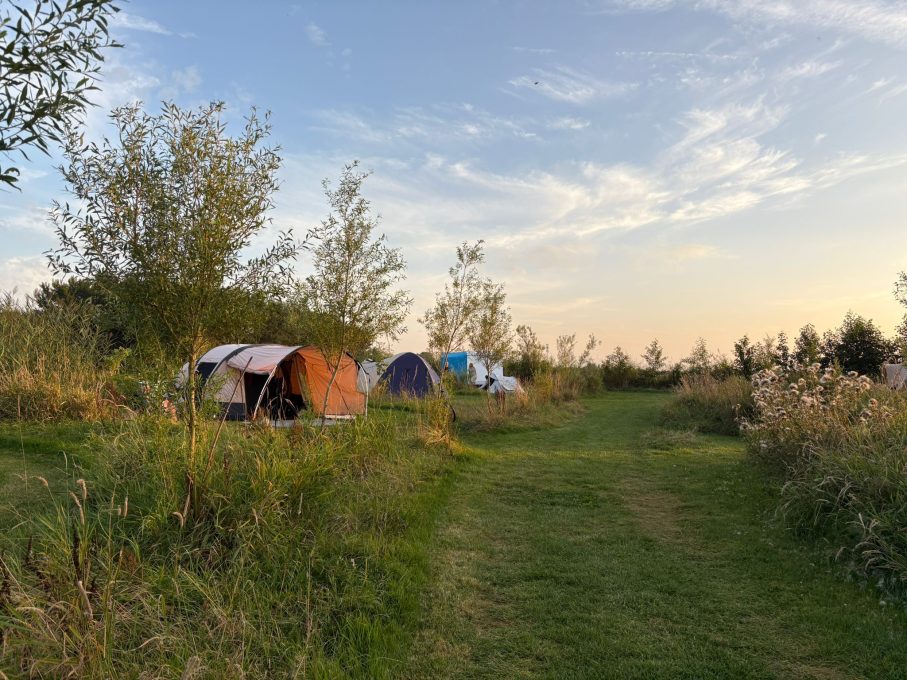 Camping Stadsboerderij De Sibbe 8 c869e9d7 3d7c 4c72 b826 166a01dad369 907x680