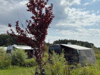 Camping Stadsboerderij De Sibbe 22 ced0be1a d8f2 43ff a09a 3e0da6b2d681 200x150