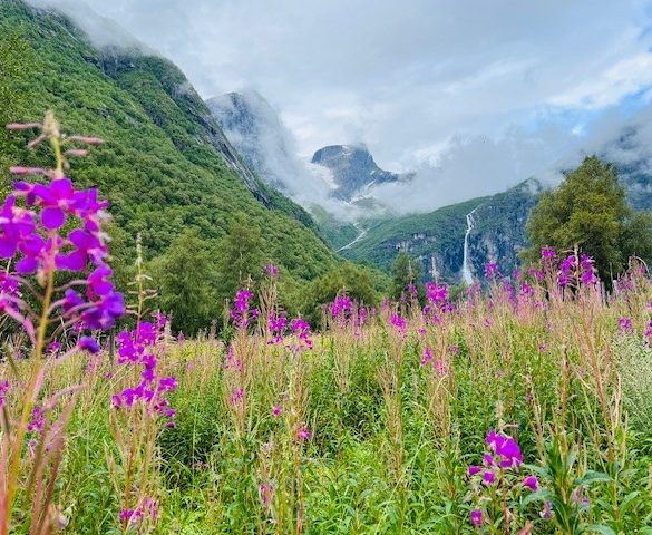 Onze camperroute door Noorwegen, 28 dagen met kinderen 12 17 e1762783686923