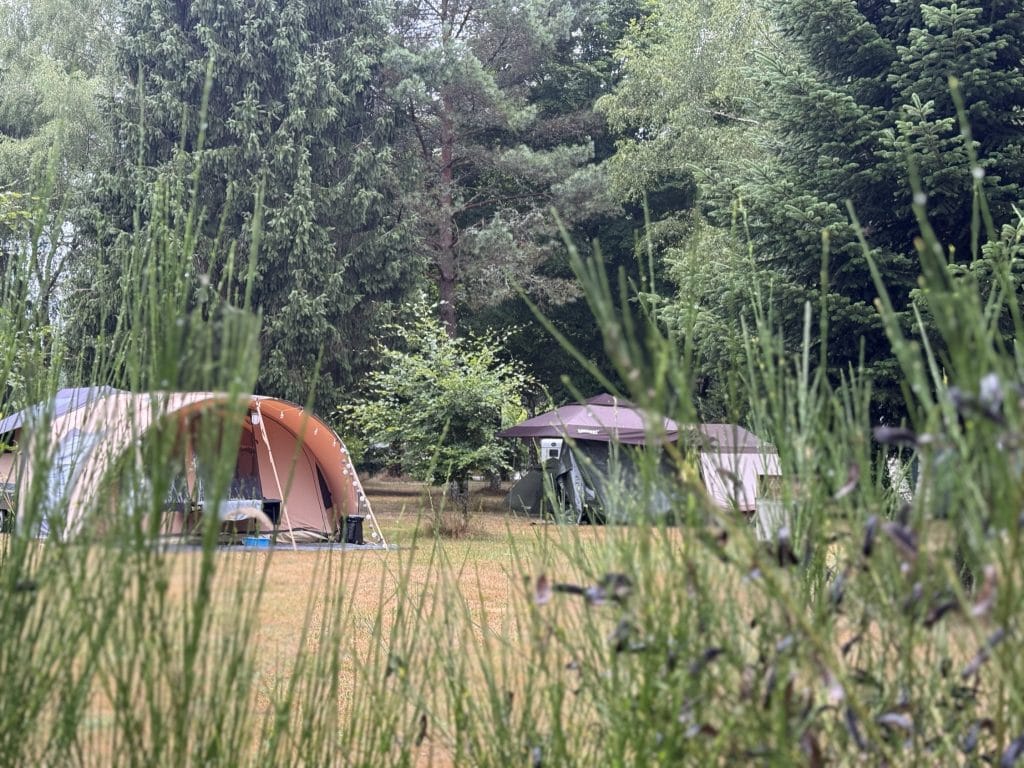De ideale camping vinden? Deze 10 vragen helpen je echt!