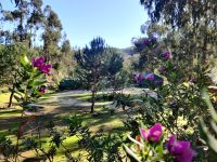 Camping Pelinos 18 Foto 5 200x150
