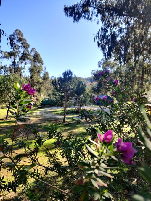 Camping Pelinos 2 Foto 5 510x680