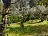 Camping Pelinos 21 Foto 7 200x150