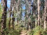 Camping Pelinos 27 IMG 20250211 WA0014 200x150