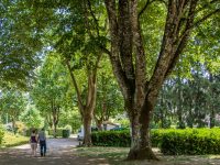 Camping Les Premières Vignes OnlyCamp 11 camping les premieres bignes 7 200x150