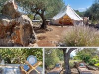 Finca Lagarto 15 6 200x150