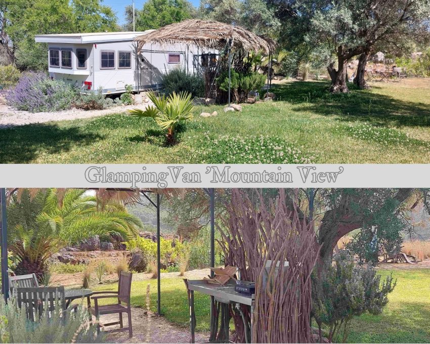 Finca Lagarto 7 7 850x680