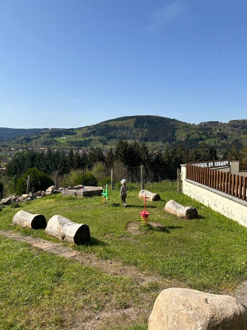 IMG 1551 510x680