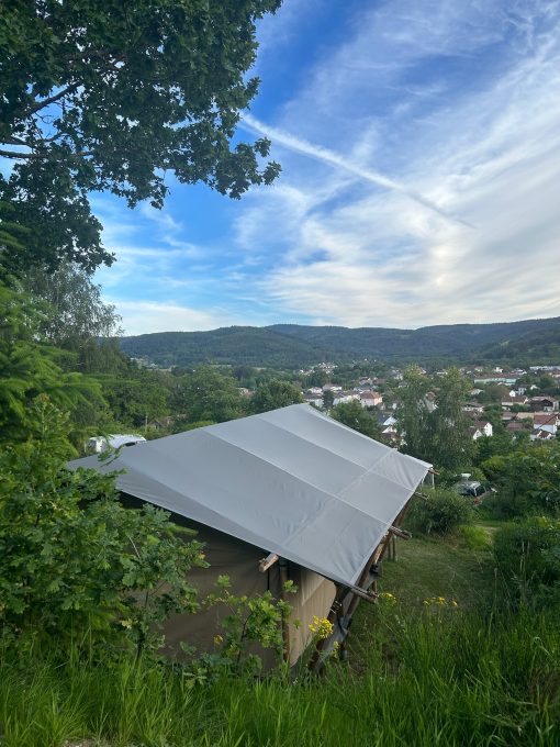 IMG 1901 510x680