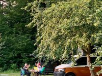 Camping Obersasbach Gräßelmühle 23 Camping obersasbach Auf der Wiese 200x150