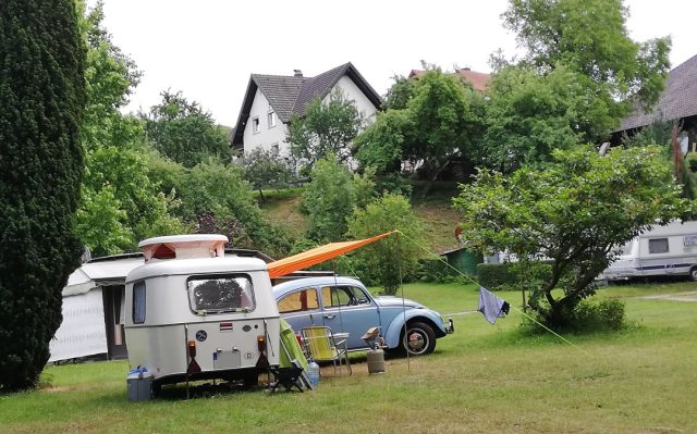 campings 2 Camping obersasbach Wiese mit Kaefer 640x399