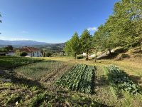 Moestuin 200x150