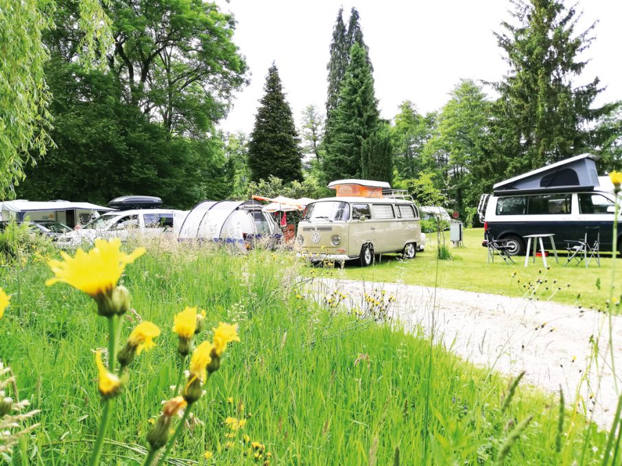 Camping Obersasbach Gräßelmühle 12 Oldi Bussle mit Wiese 907x680