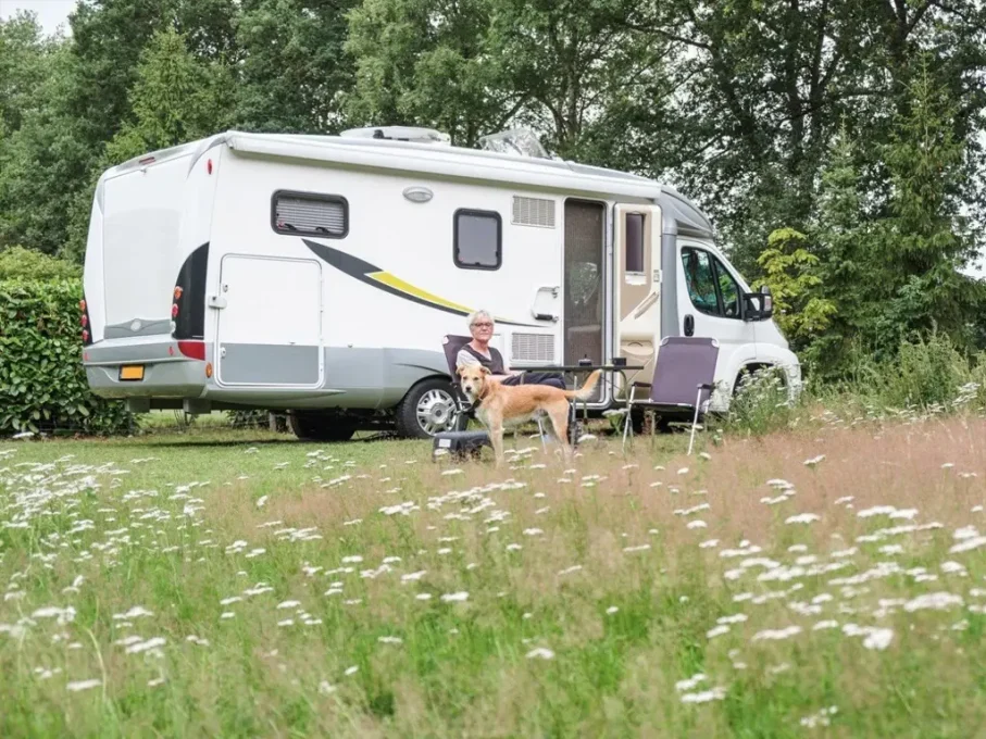 camper 907x680