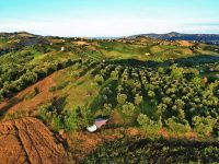 Agriturismo Villa Bussola & B&B 29 heuvelsplustent 200x150