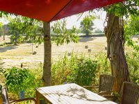 terras with a view 200x150