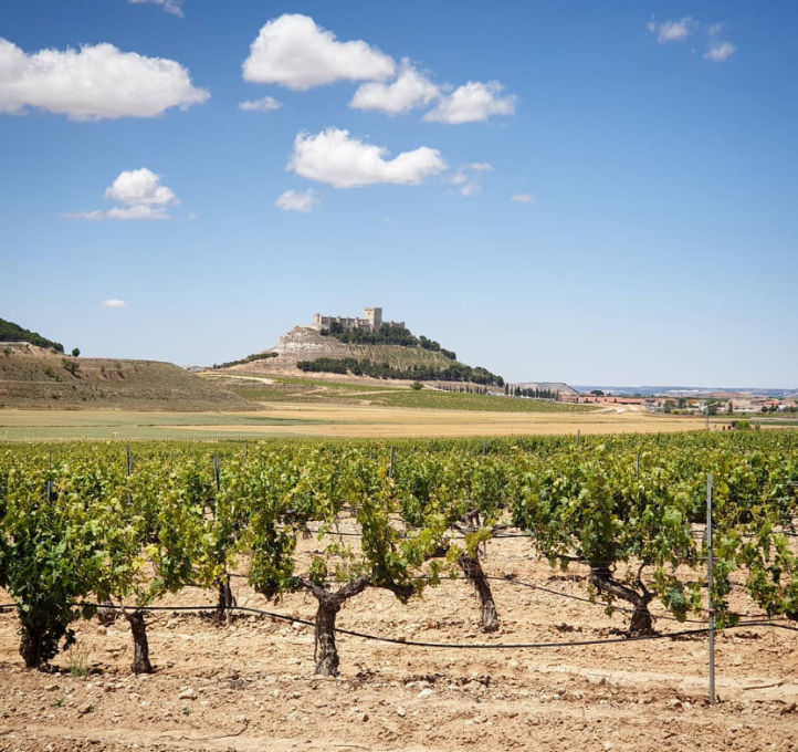 Camping Riberduero 9 Castillo de Penafiel 722x680