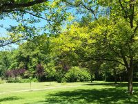 Camping la Diège 26 Kamperen Camping la Diege 8 200x150