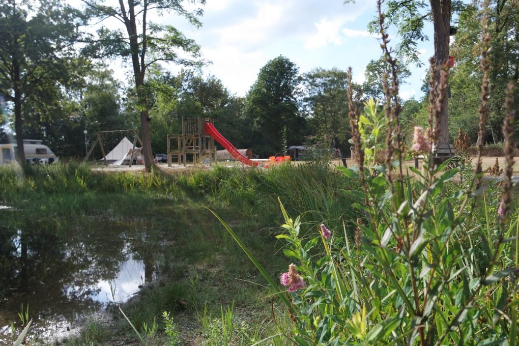 Natuurkampeerterrein De Meenthe 2 1020x680