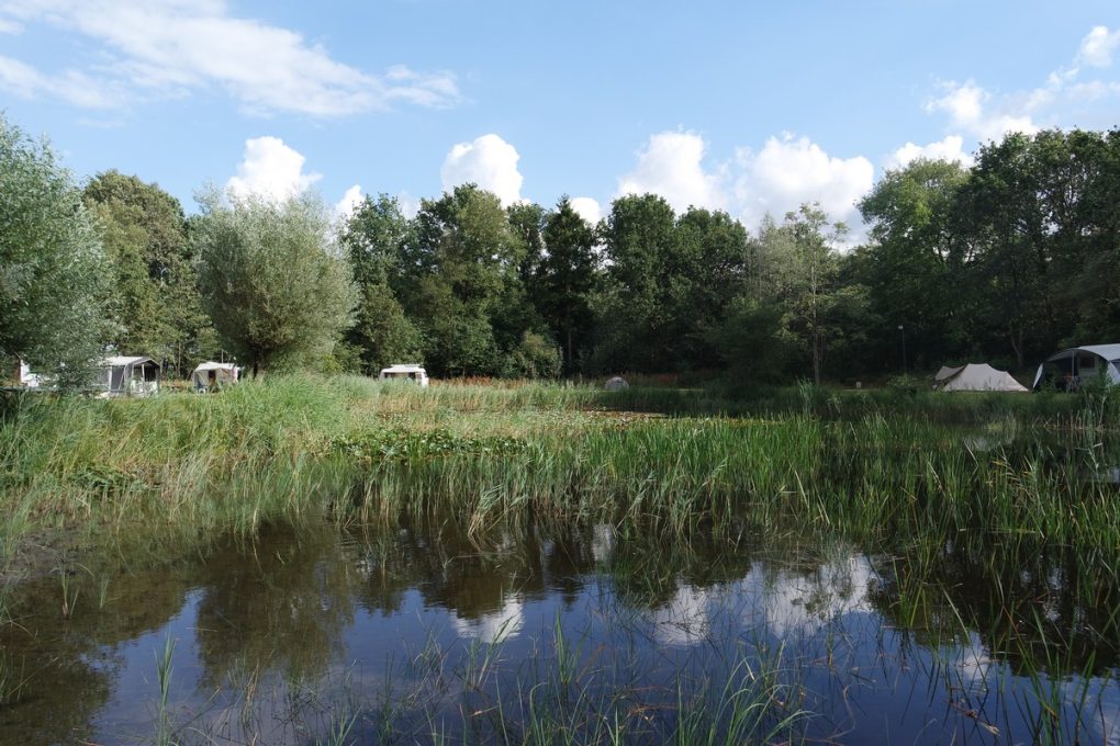 Natuurkampeerterrein De Meenthe 3 1020x680