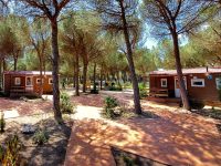 Camping Riberduero 18 casas moviles 200x150