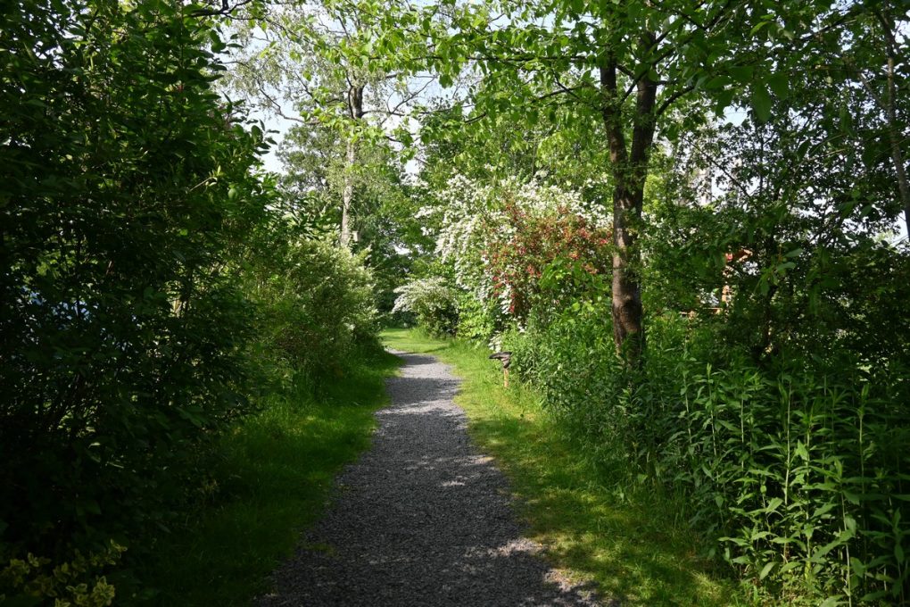 Wandelcamping Pluk de Dag 8 wandelcamping pluk de dag 8 1020x680
