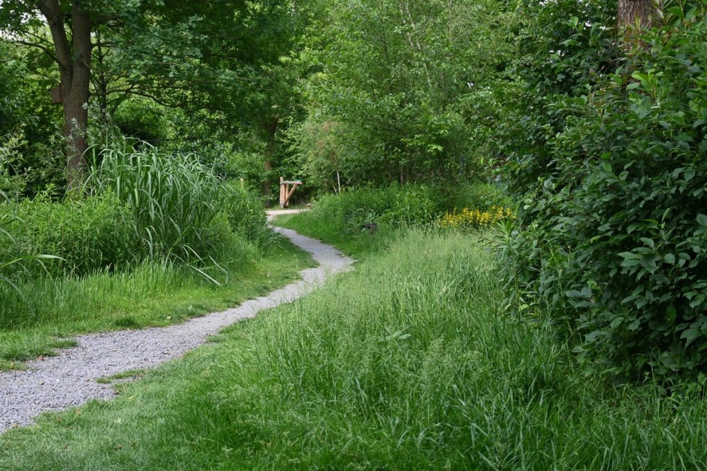 Wandelcamping Pluk de Dag 9 wandelcamping pluk de dag 9 1020x680