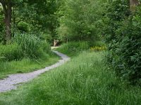 Wandelcamping Pluk de Dag 23 wandelcamping pluk de dag 9 200x150