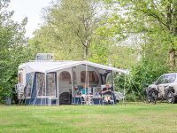 Camping de Berken 20 Berken najaar low res 9 200x150