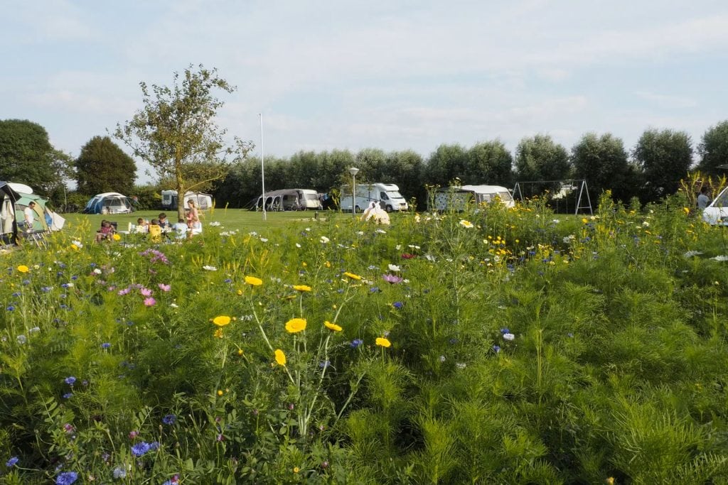 Camping De Couter Zeeland