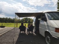 Camping Sparjebird 21 PHOTO 2026 03 13 08 44 39 200x150
