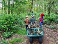 Camping Hoeve de Knol 32 WhatsApp Image 2026 03 30 at 14.20.09 1 200x150