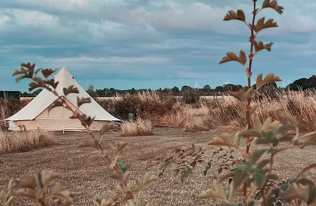 Kleine campings in Zeeland,dit zijn onze 7 favorieten 2 camping develdherberg zeeland