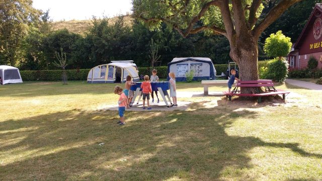 gele anemoon camping 640x360