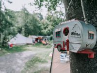 Camping Zwinderen 26 DSC07108 2 200x150