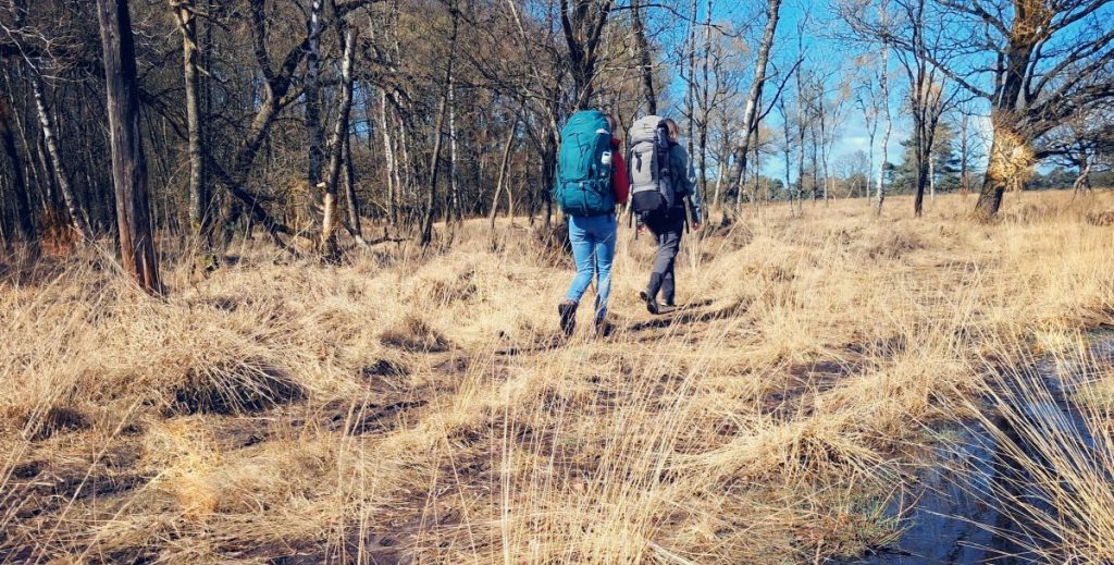 Bivvybase Dents Friese Wold