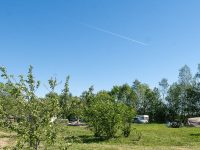 Natuurkampeerterrein De Duiventoren 18 natuurcamping Duiventoren Brabant 9 200x150