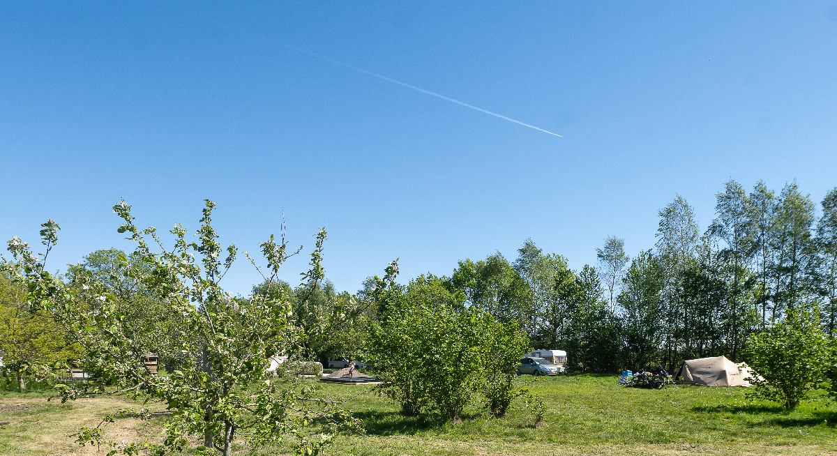 Natuurkampeerterrein De Duiventoren 9 natuurcamping Duiventoren Brabant 9