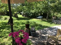 Camping de Nachtegaal 24 1C7C3129 91B9 43BE 8B87 2CFD4CF4647D 200x150