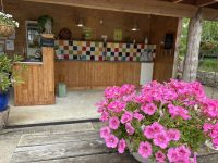 Camping de Nachtegaal 22 8916E609 40EA 45C0 AE2B 4103F0994AEA 1 105 c 200x150