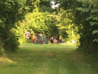 Camping de Nachtegaal 36 8FF14A4D C7B8 4FDB 8B60 5088F03C591A 1 105 c 200x150