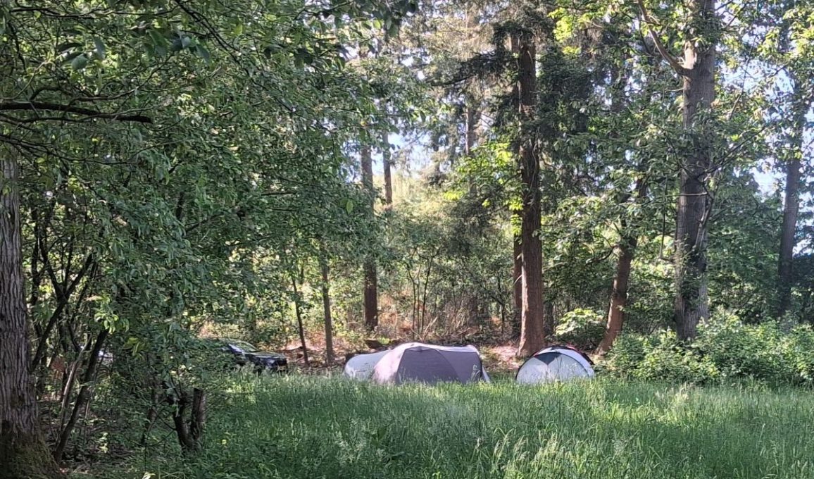 Natuurkampeerterrein Het Zand, echt niets! 4 Tentjes in bos 1 1156x680